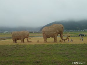 四国ローカル線の旅（前編）