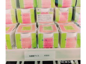 名古屋発・ホンモノ志向の大人女子に送る高級ジェラート店　フレーバーに“味噌味”も