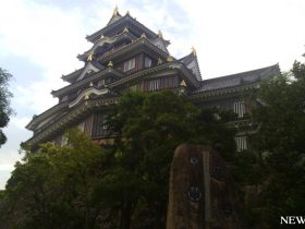 早朝の岡山城と後楽園を歩く