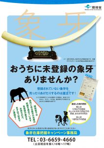 象牙の国内全体量を把握 環境省がキャンペーン開始