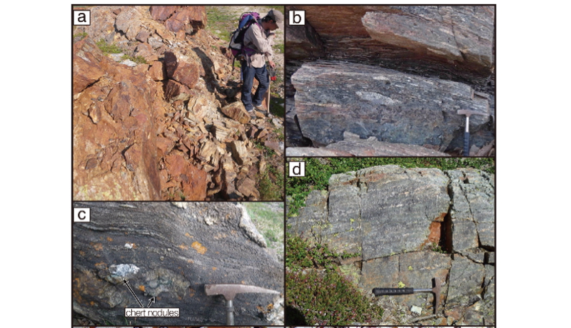 39億5000万年前の生命の痕跡を発見と東大が発表