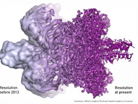 【ノーベル賞2017】化学賞にスイス・米・英の3氏 生体分子の立体構造解析