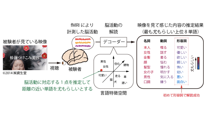 頭で思ったことが言葉になる～脳活動を読み取り1万語で解読する技術を開発～