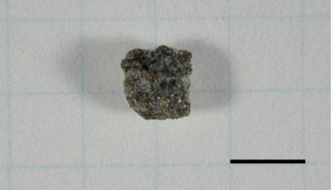 「八王子隕石」とされる隕石小片を分析 極地研など