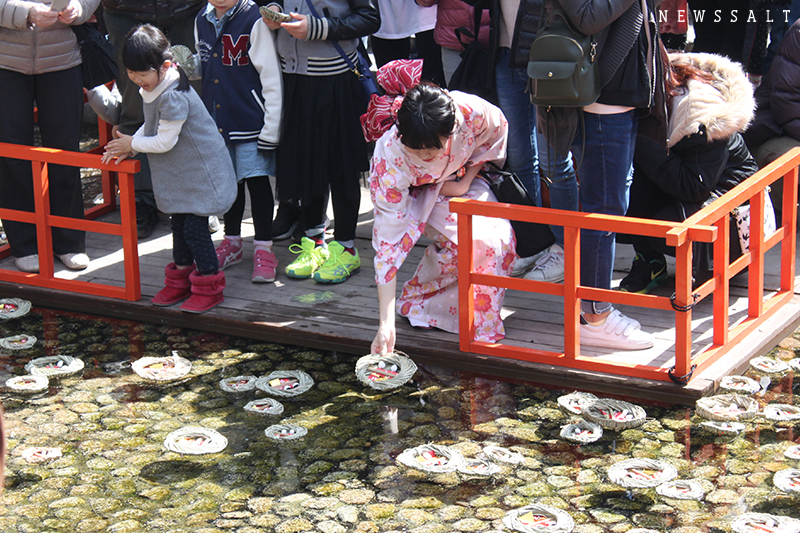 下鴨神社　満開の梅と流し雛