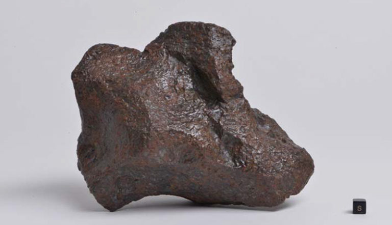 岐阜で国内約15年ぶりの隕石発見 「長良隕石」と命名