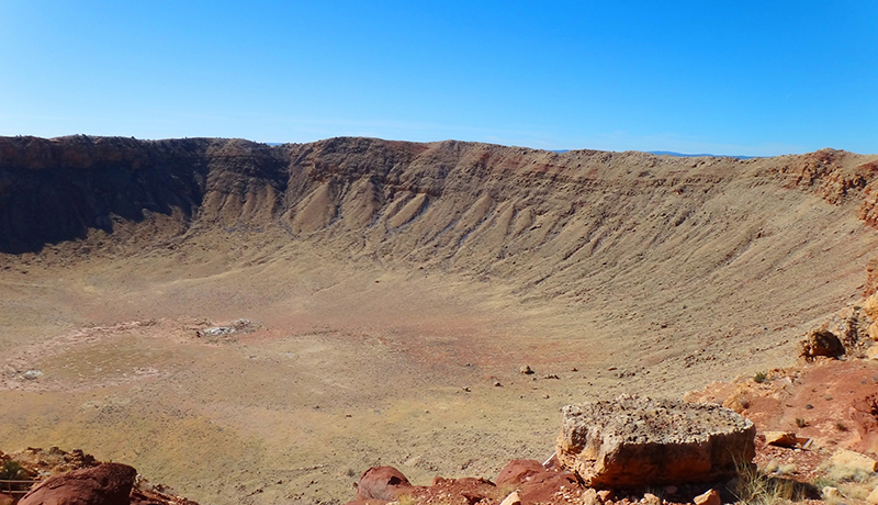 白亜紀末の恐竜大量絶滅後、2〜3年で生態系が復活