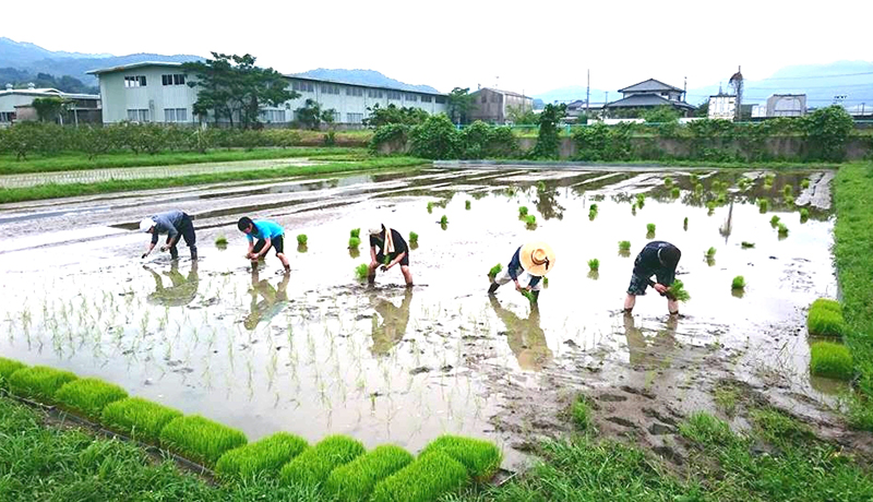 日本人の協調性のルーツは「地域活動」　京大が実証