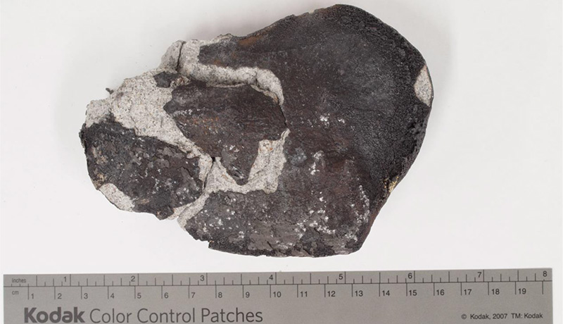 「小牧隕石」を新たに登録　昨年9月に愛知県で発見