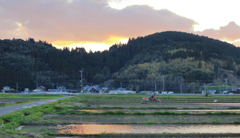 日本の食料問題を見据える『農業崩壊』