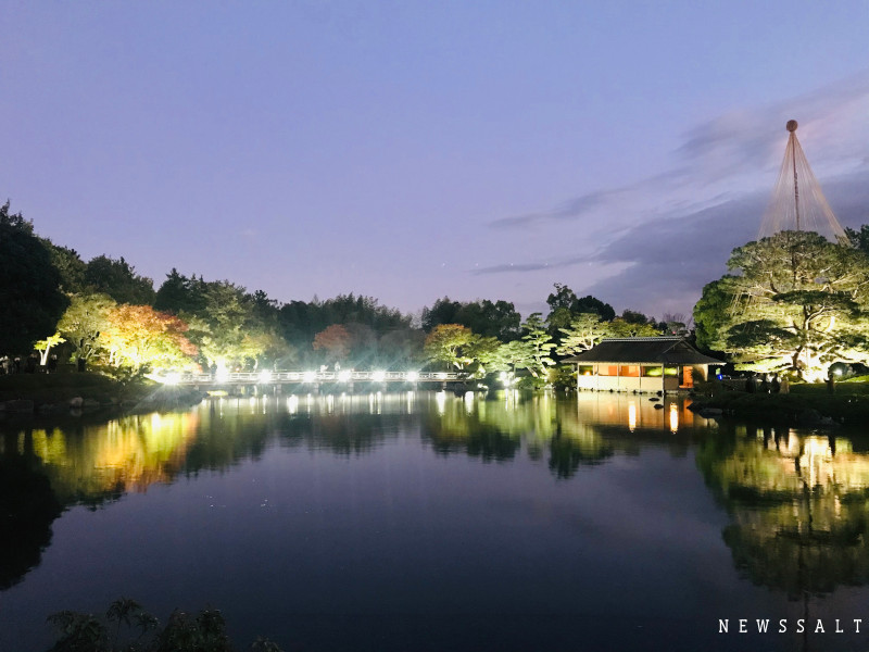 昭和記念公園で黄葉紅葉まつり開催中　イチョウ並木のライトアップ