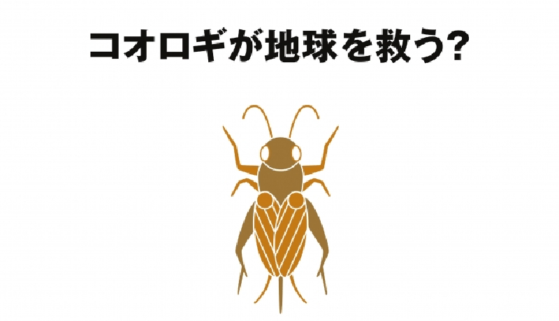 無印が来春「コオロギせんべい」を発売　食糧危機対策の一助に