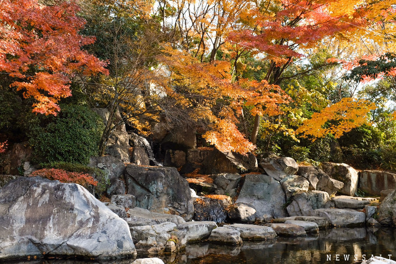 松山城二の丸史跡庭園、12月上旬には紅葉も
