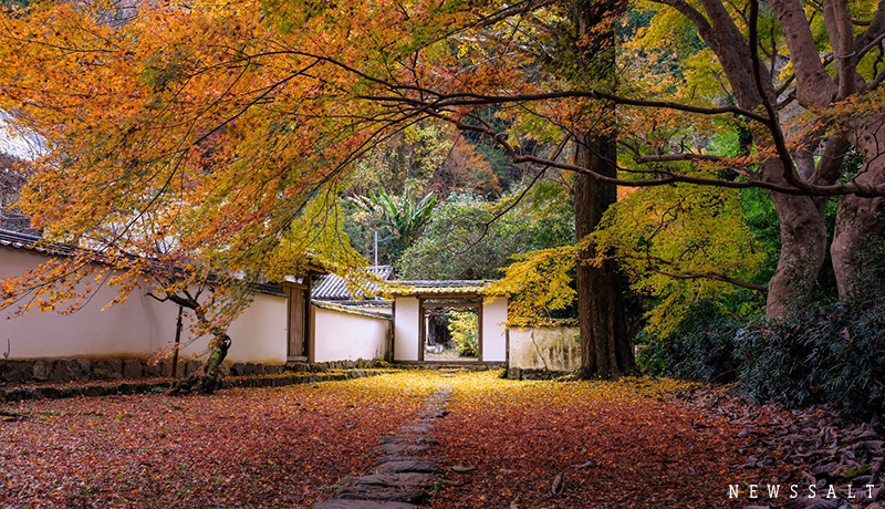 重要文化財の宝庫　大洲・如法寺で味わう紅葉の絶景