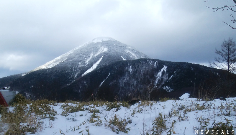 新春の蓼科、野鳥の生息地と雪を頂いた山々