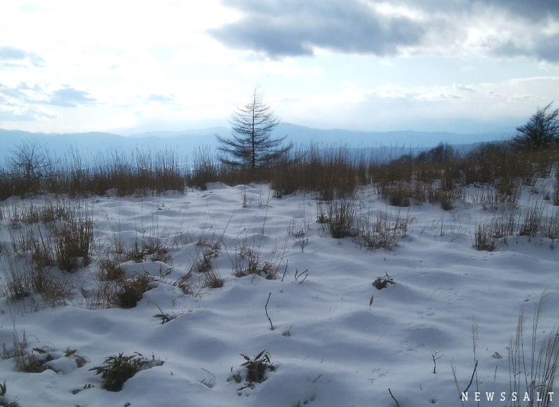 新春の蓼科、野鳥の生息地と雪を頂いた山々