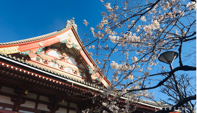 浅草寺（撮影日：3月20日）