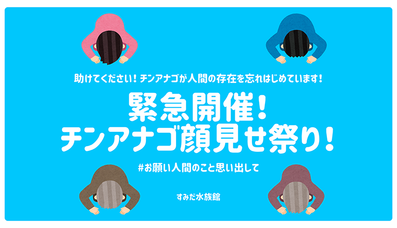 人間を忘れたチンアナゴに顔見せ祭り開催　すみだ水族館で5/3より