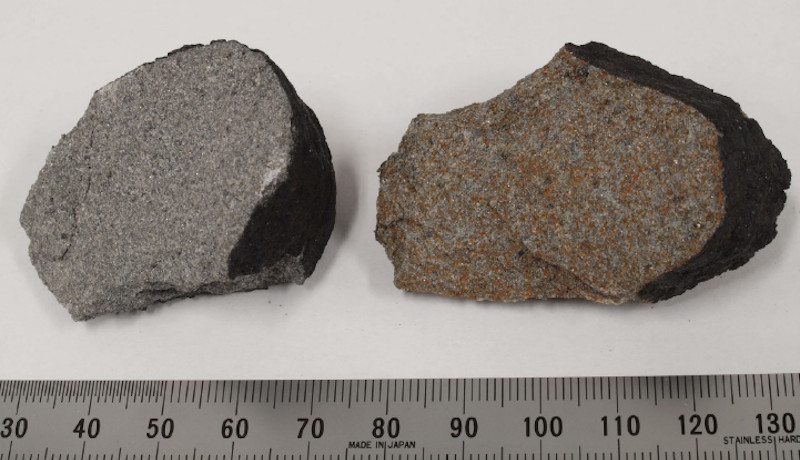国立科学博物館、習志野市落下の隕石を確認