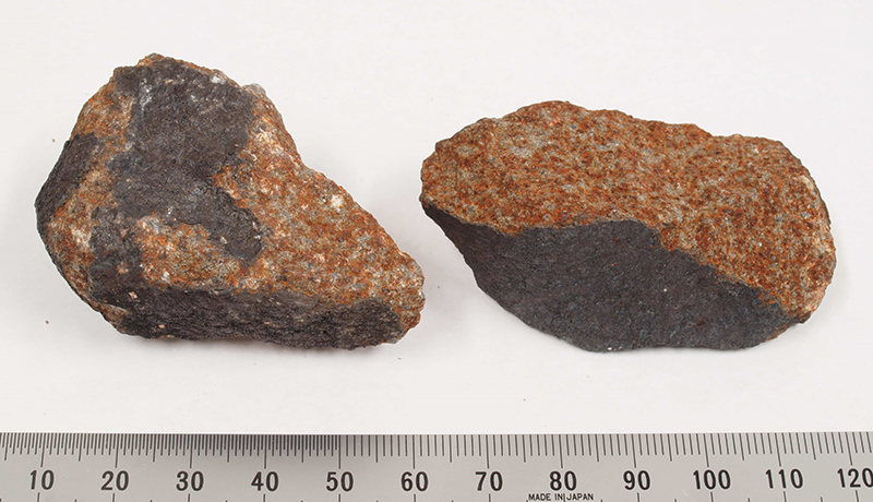 「習志野隕石」の新たな破片を船橋市でも発見