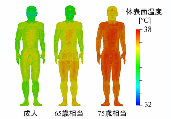 熱中症につながる高齢者の脱水症状　数日かけて蓄積　名工大が発症過程を分析