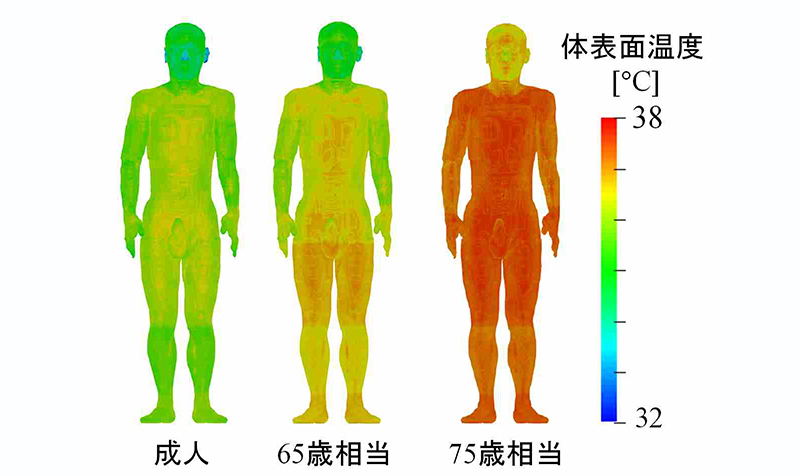 熱中症につながる高齢者の脱水症状　数日かけて蓄積　名工大が発症過程を分析