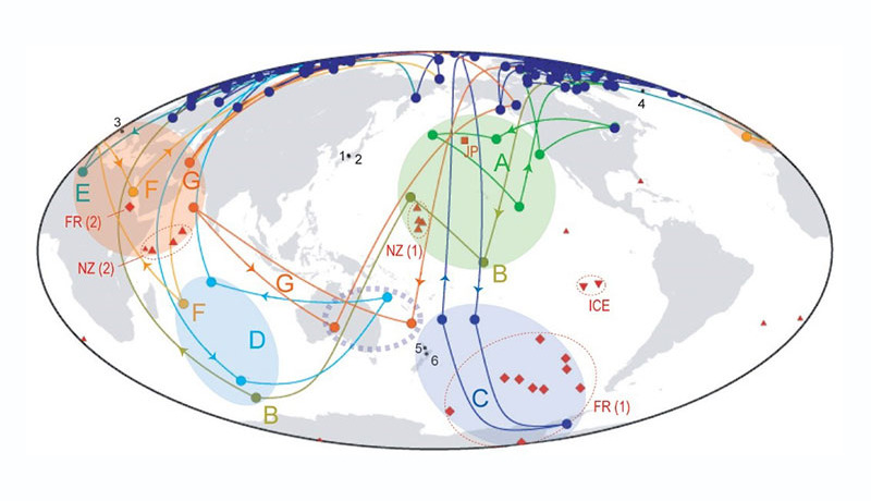 4万年前に起こった地磁気のN極が移動する現象を水月湖の堆積物から分析　神戸大など