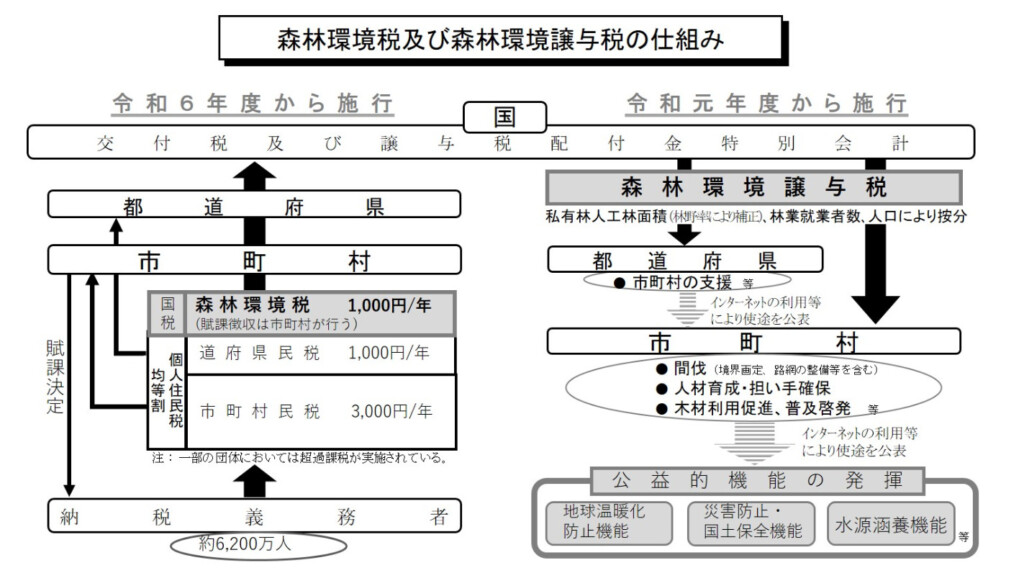 5/4はみどりの日、日本の森林について考える