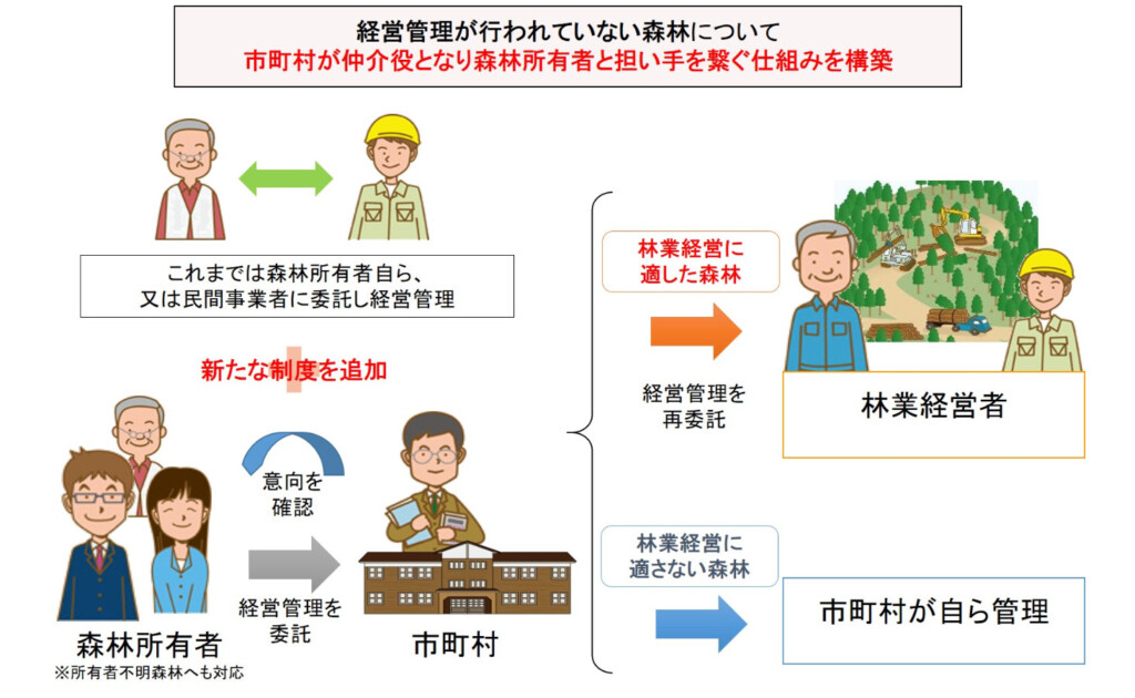 5/4はみどりの日、日本の森林について考える