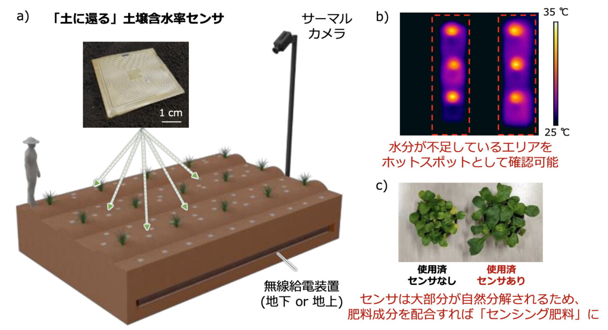 環境に配慮した分解可能なセンサー　阪大が開発進める