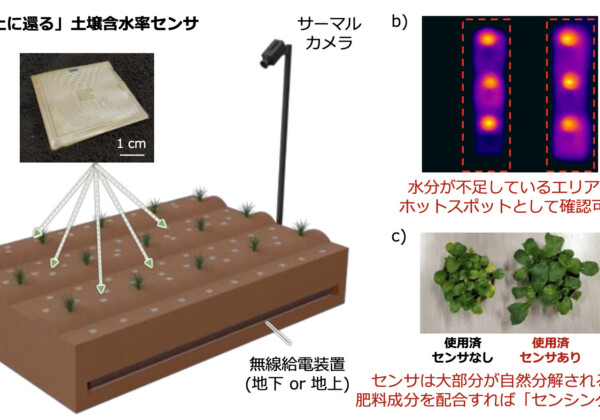 環境に配慮した分解可能なセンサー　阪大が開発進める