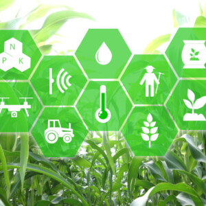 植物の映像から風力を推定　自然現象を計算資源として活用する技術を開発